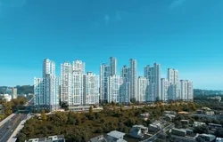 남울산 노르웨이숲